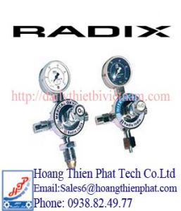 Đồng hồ đo nhiệt độ Radix