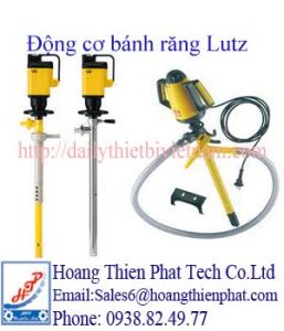 Động cơ bánh răng Lutz